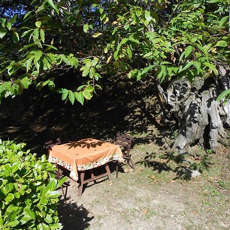Fattoria Il Praticino Villa Castelfranco di Sopra Luaran gambar