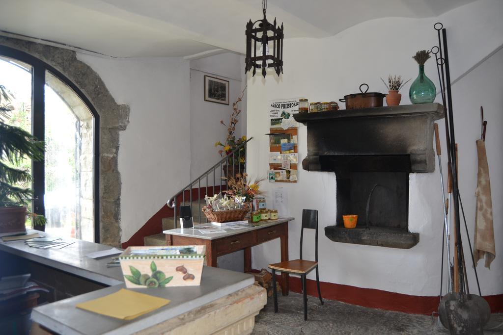 Fattoria Il Praticino Villa Castelfranco di Sopra Luaran gambar