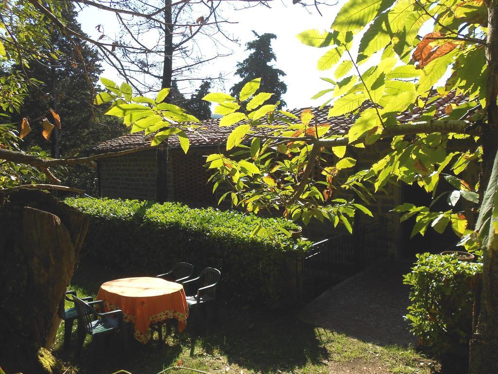 Fattoria Il Praticino Villa Castelfranco di Sopra Luaran gambar