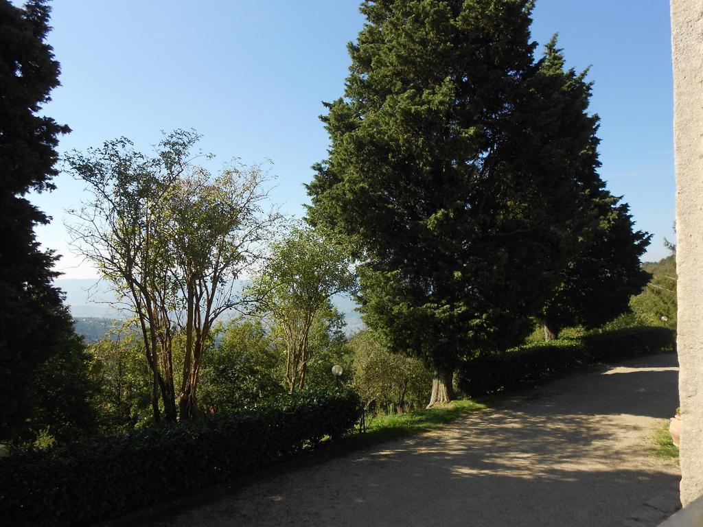Fattoria Il Praticino Villa Castelfranco di Sopra Luaran gambar